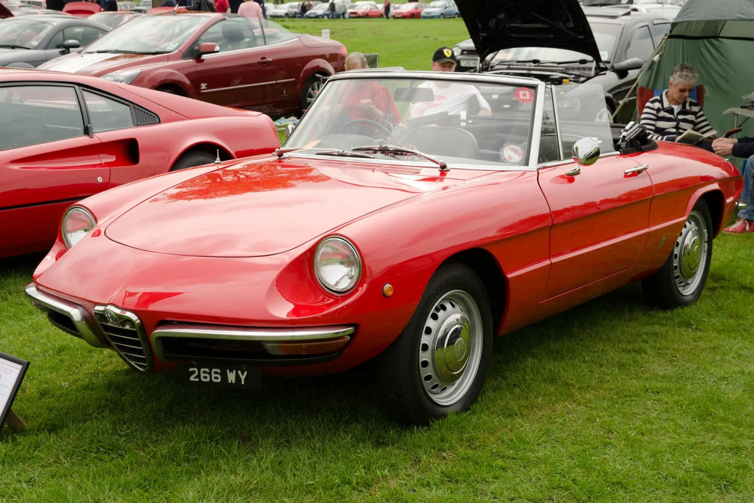 Image for Alfa Romeo Spider 105