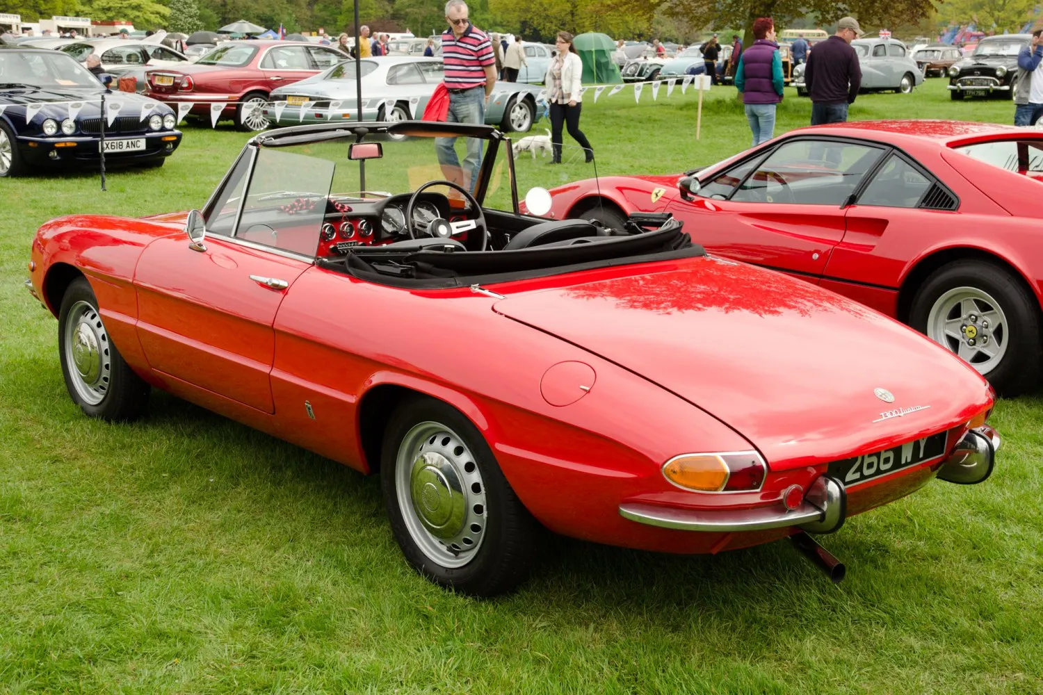 Image for Alfa Romeo Spider 105