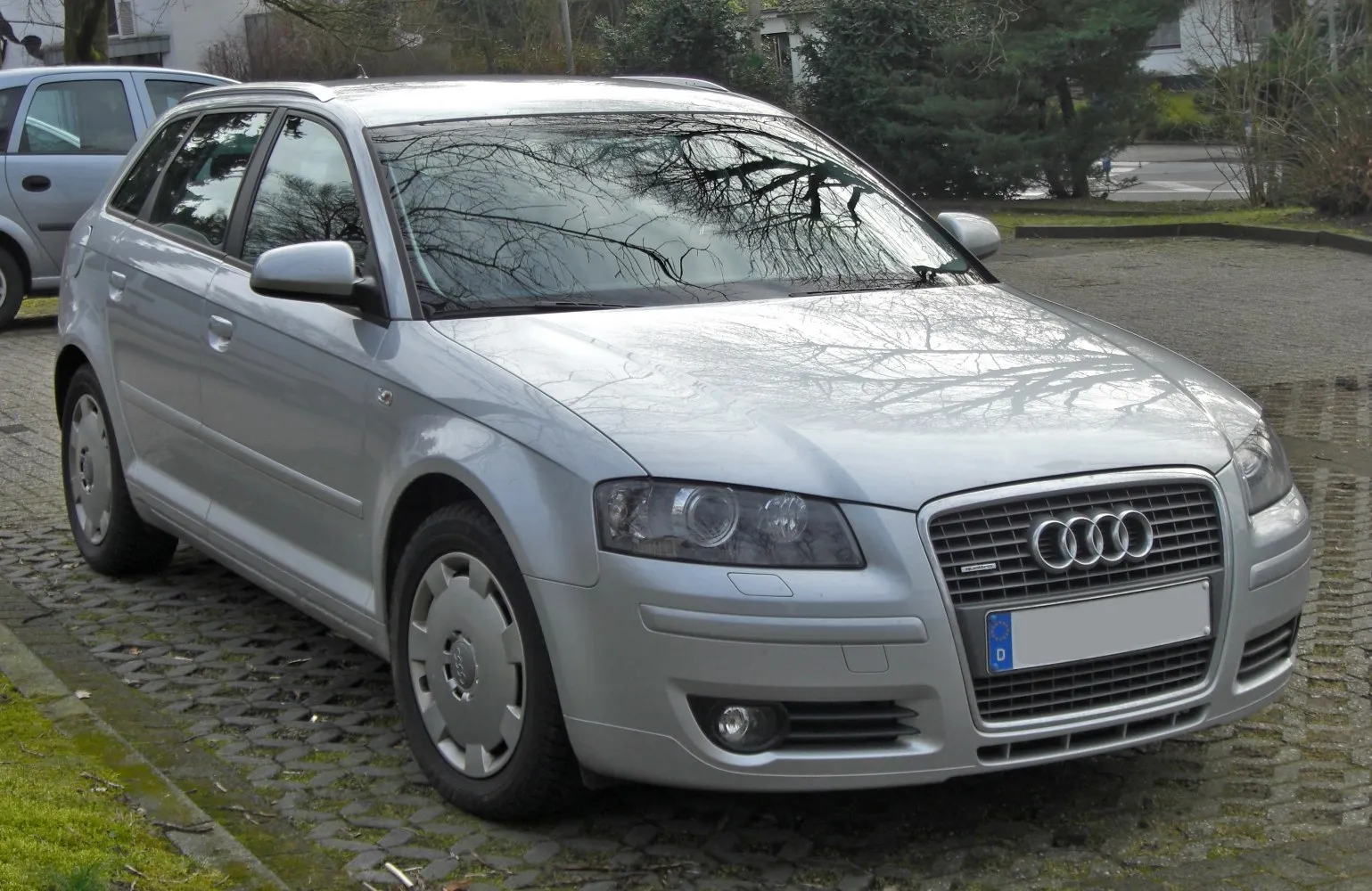 Audi A3 Sportback (8PA)
