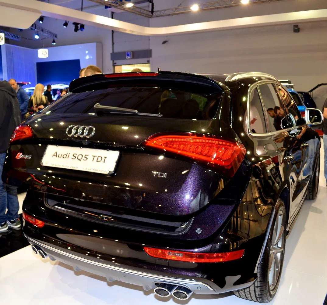 Image for Audi SQ5 I (8R)