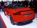 Image for Audi TT RS Roadster (8J, facelift 2010)