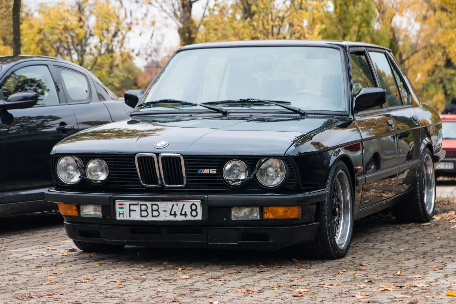 Image for BMW M5 E28
