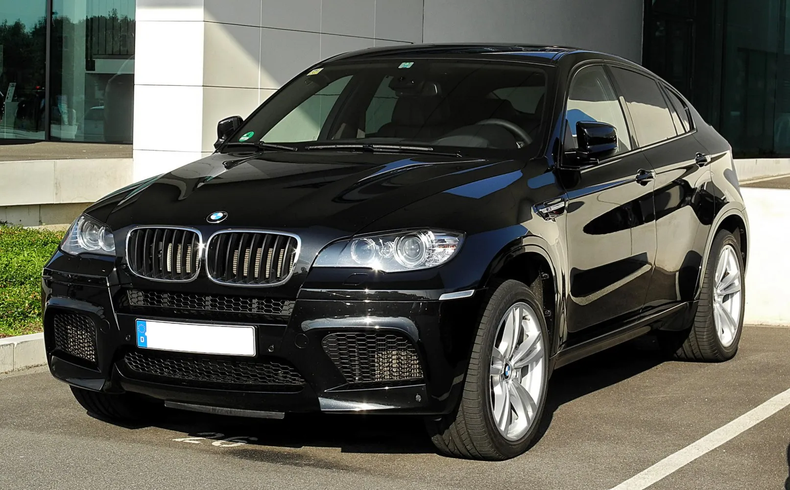 Image for BMW X6 M E71