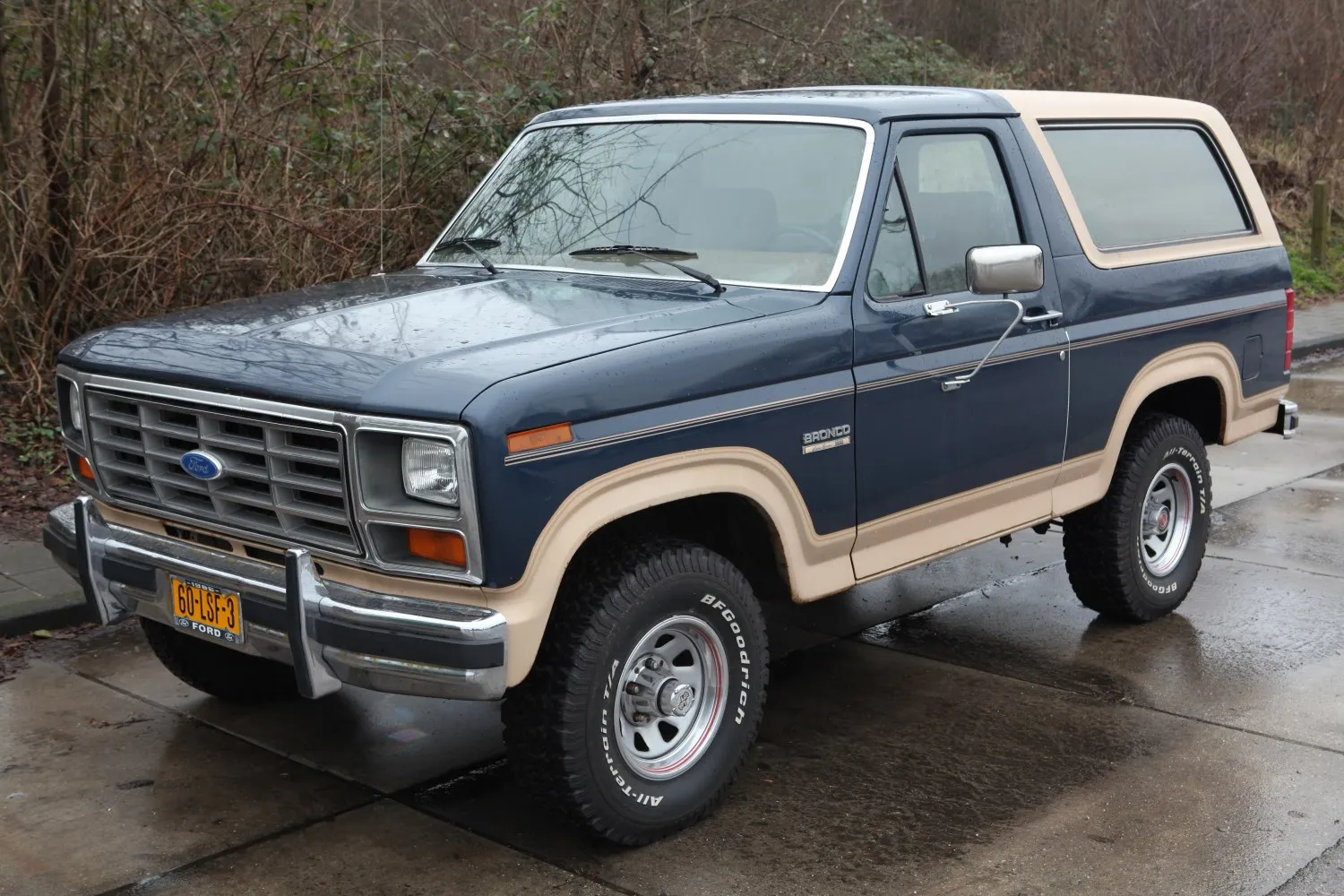 Ford Bronco III