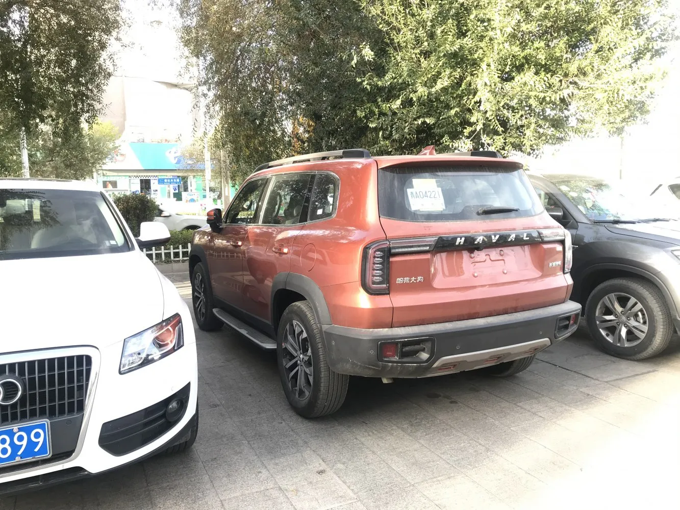 Image for Haval Big Dog I