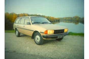 Peugeot 305 I Break (581D)