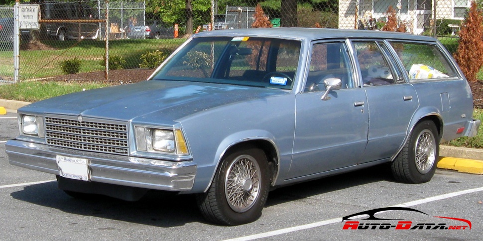 Vollständige Spezifikationen und technische Details 1978 Chevrolet Malibu IV Station Wagon 3.3 V6 (94 Hp) CAT