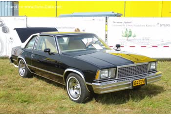 1978 Chevrolet Malibu IV Sport Coupe 5.0 V8 (160 Hp) CAT Automatic thumb image