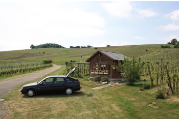 1993 Opel Vectra A CC (facelift 1992) 2.5 V6 (170 Hp) thumb image